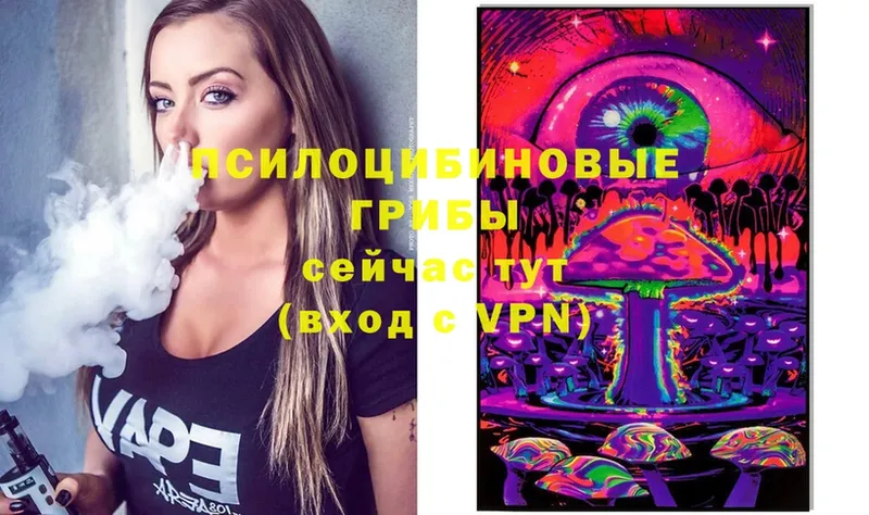 гидра ссылка  Шумерля  Псилоцибиновые грибы Psilocybe  закладка 